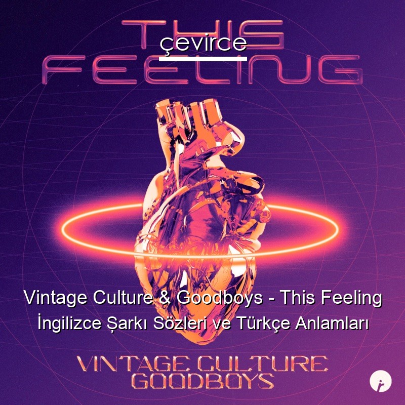 Vintage Culture & Goodboys – This Feeling İngilizce Şarkı Sözleri Türkçe Anlamları