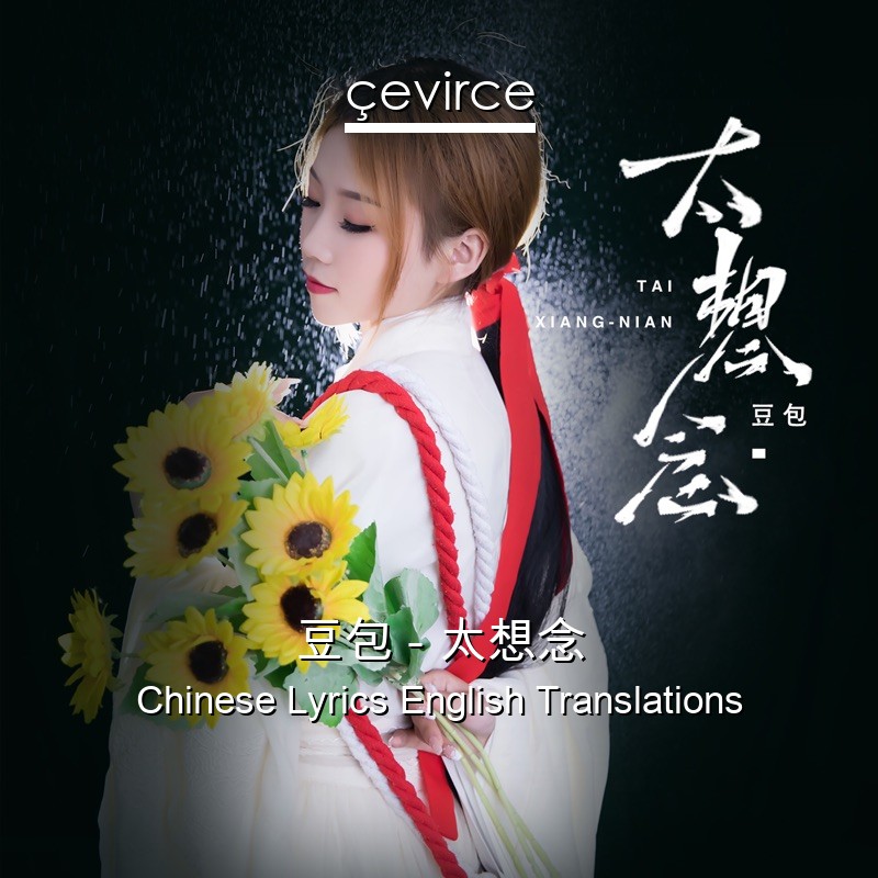豆包 – 太想念 Chinese Lyrics English Translations
