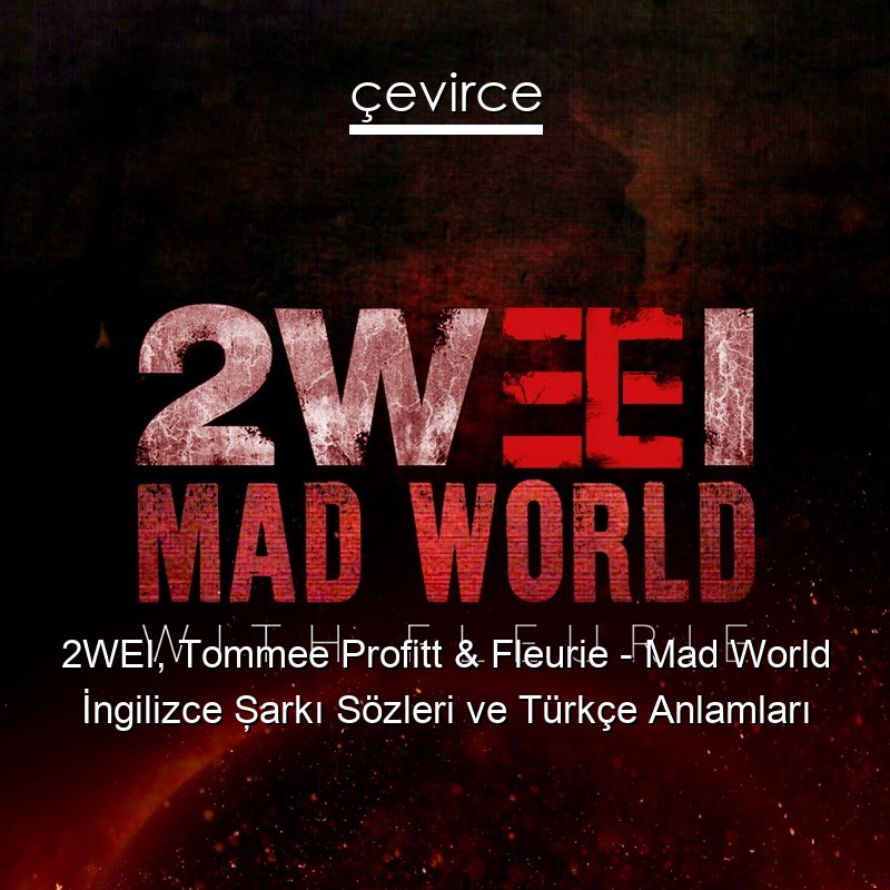 2WEI, Tommee Profitt & Fleurie – Mad World İngilizce Şarkı Sözleri Türkçe Anlamları