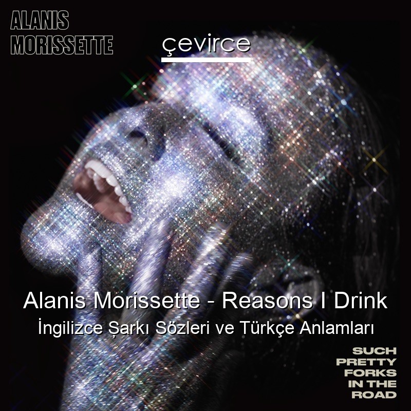 Alanis Morissette – Reasons I Drink İngilizce Şarkı Sözleri Türkçe Anlamları