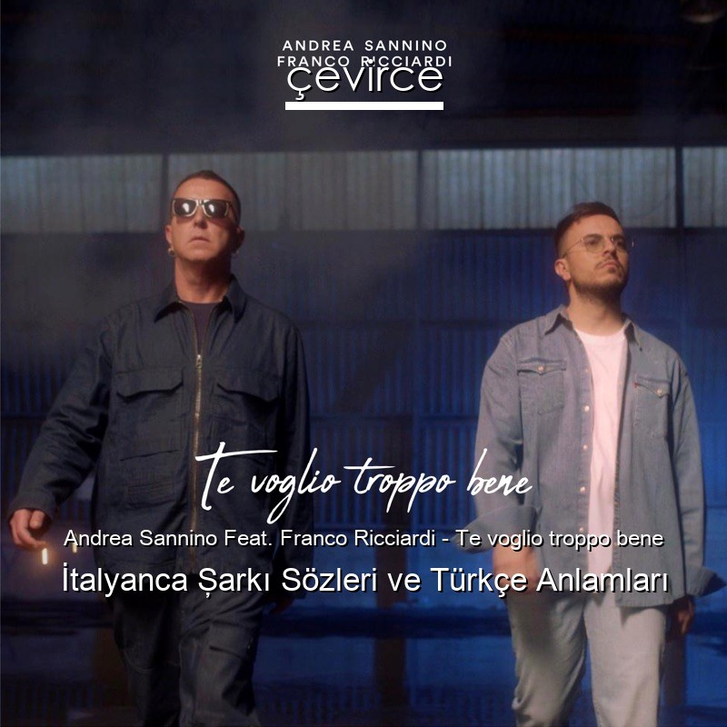 Andrea Sannino Feat. Franco Ricciardi – Te voglio troppo bene İtalyanca Şarkı Sözleri Türkçe Anlamları