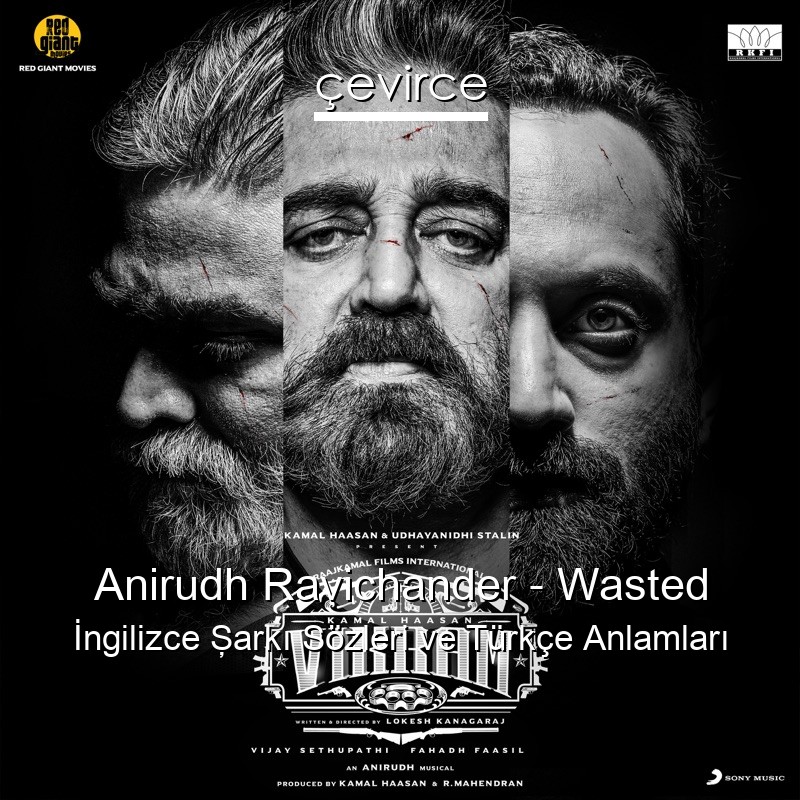 Anirudh Ravichander – Wasted İngilizce Şarkı Sözleri Türkçe Anlamları