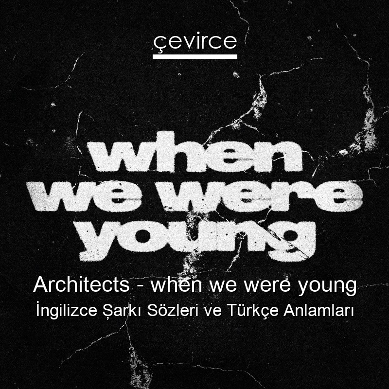 Architects – when we were young İngilizce Şarkı Sözleri Türkçe Anlamları