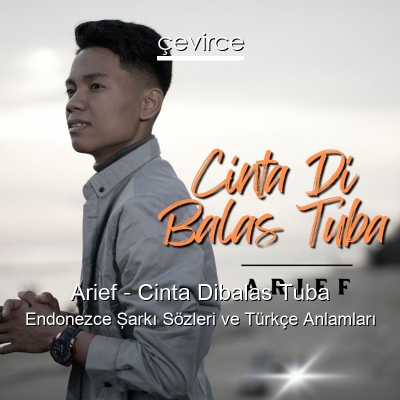 Arief – Cinta Dibalas Tuba Endonezce Şarkı Sözleri Türkçe Anlamları