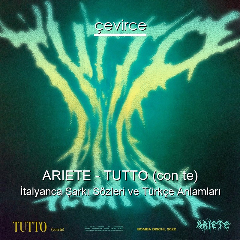 ARIETE – TUTTO (con te) İtalyanca Şarkı Sözleri Türkçe Anlamları