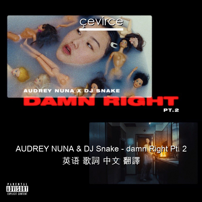 AUDREY NUNA & DJ Snake – damn Right Pt. 2 英语 歌詞 中文 翻譯