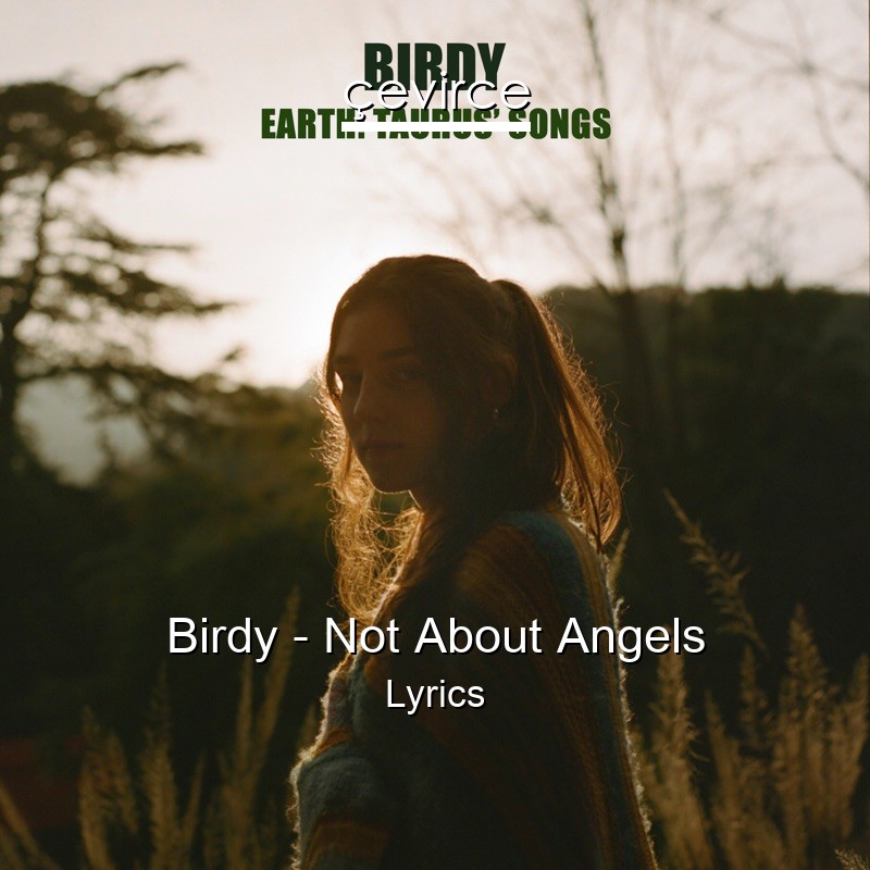 Birdy – Not About Angels Lyrics