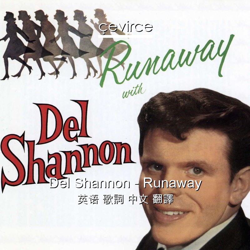 Del Shannon – Runaway 英语 歌詞 中文 翻譯