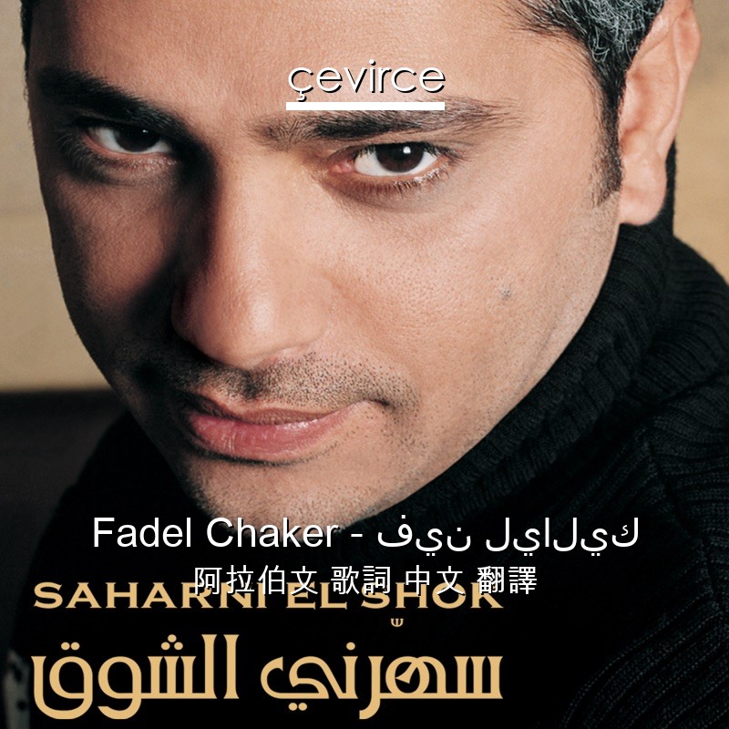 Fadel Chaker – فين لياليك 阿拉伯文 歌詞 中文 翻譯