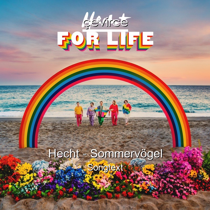 Hecht – Sommervögel Songtext
