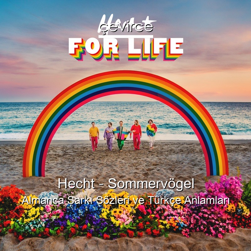 Hecht – Sommervögel Almanca Şarkı Sözleri Türkçe Anlamları