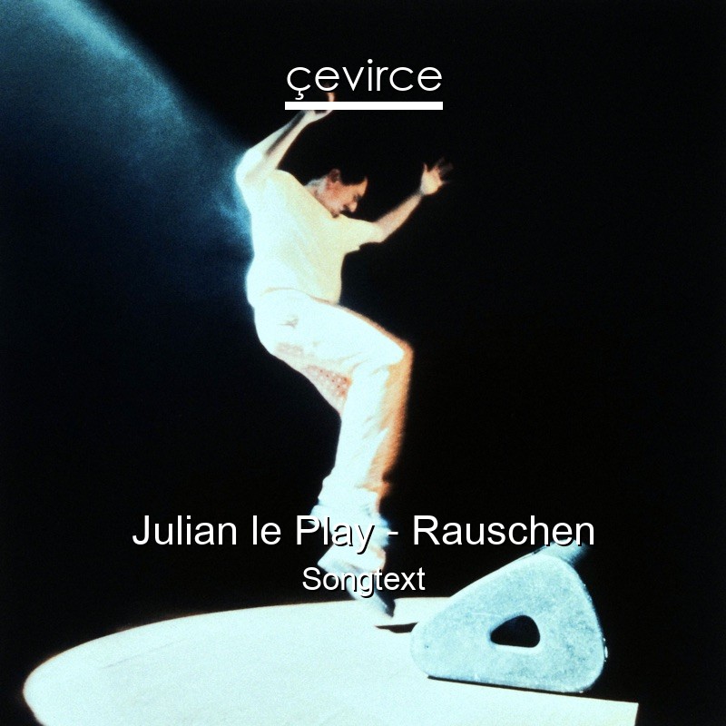 Julian le Play – Rauschen Songtext