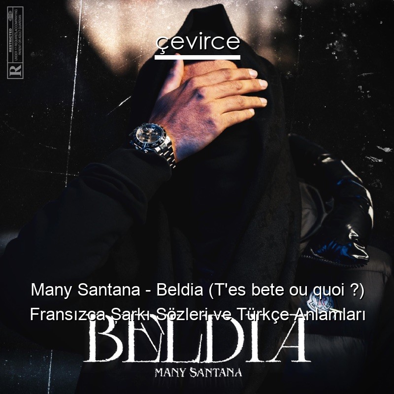 Many Santana – Beldia (T’es bete ou quoi ?) Fransızca Şarkı Sözleri Türkçe Anlamları