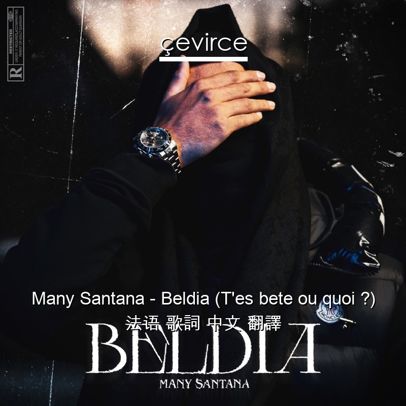Many Santana – Beldia (T’es bete ou quoi ?) 法语 歌詞 中文 翻譯