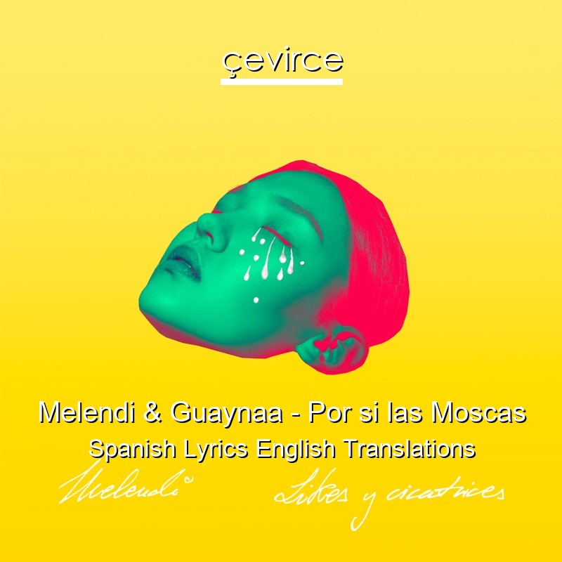 Melendi & Guaynaa – Por si las Moscas Spanish Lyrics English Translations