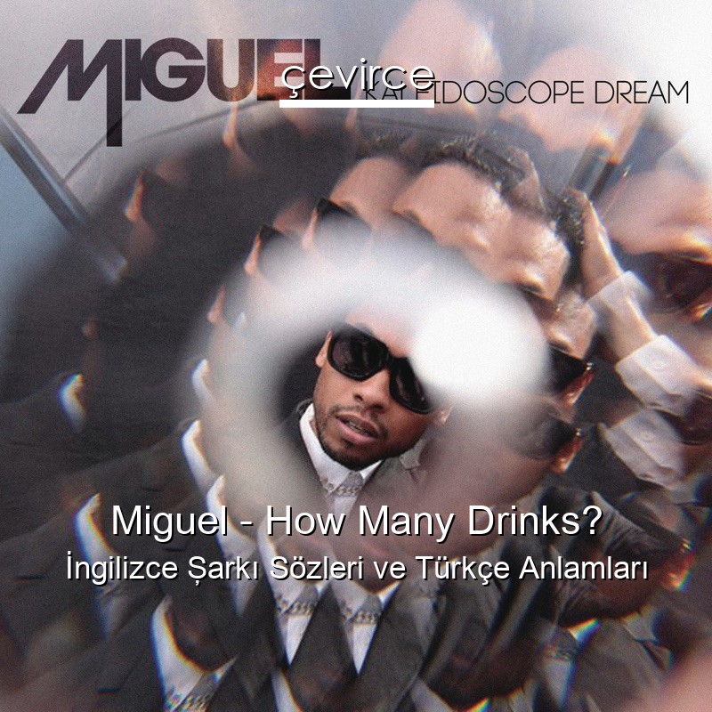 Miguel – How Many Drinks? İngilizce Şarkı Sözleri Türkçe Anlamları