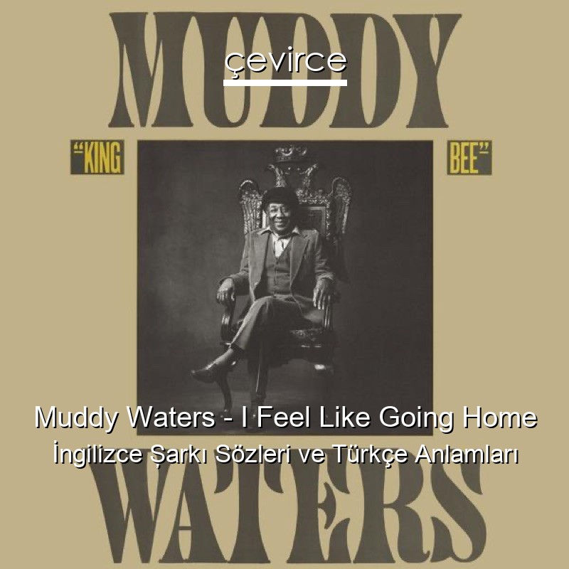 Muddy Waters – I Feel Like Going Home İngilizce Şarkı Sözleri Türkçe Anlamları