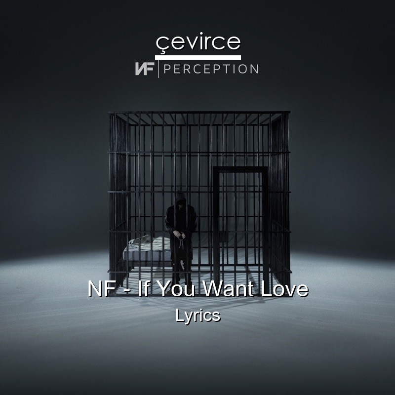 NF – If You Want Love Lyrics