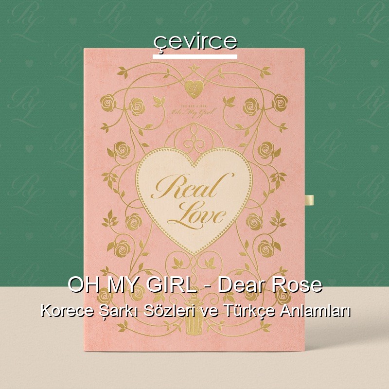 OH MY GIRL – Dear Rose Korece Şarkı Sözleri Türkçe Anlamları