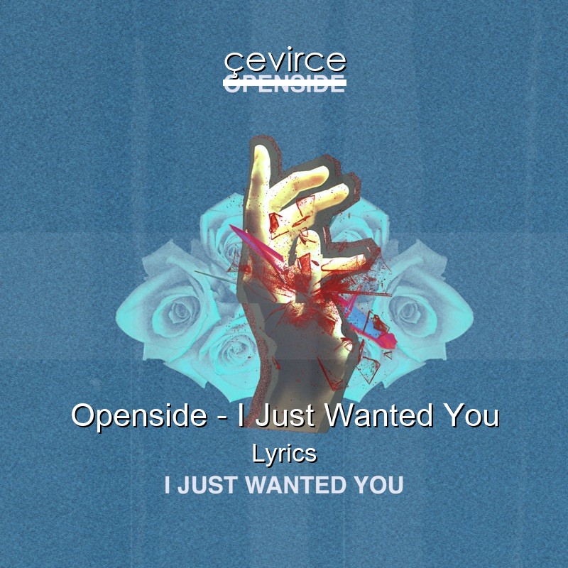 Openside – I Just Wanted You Lyrics