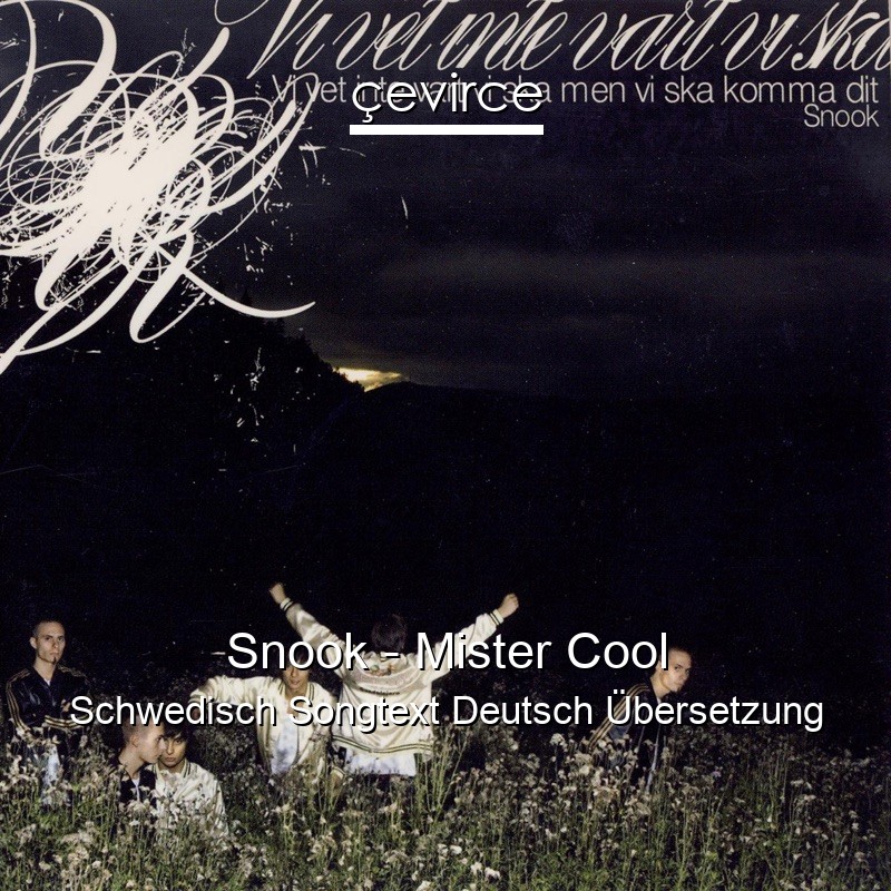 Snook – Mister Cool Schwedisch Songtext Deutsch Übersetzung
