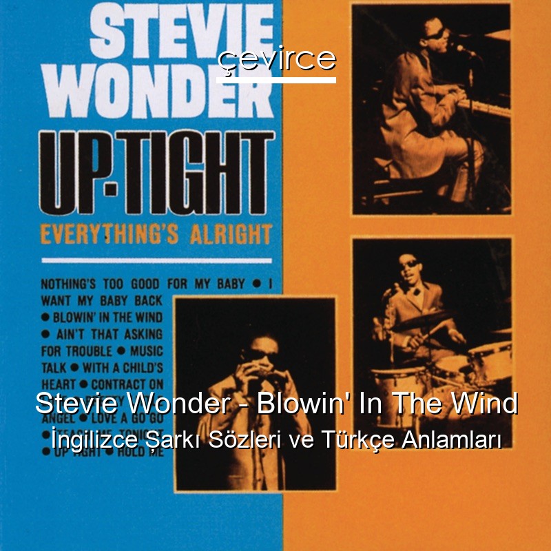 Stevie Wonder – Blowin’ In The Wind İngilizce Şarkı Sözleri Türkçe Anlamları