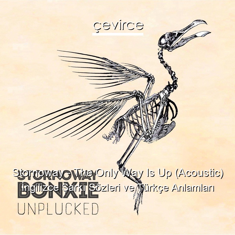 Stornoway – The Only Way Is Up (Acoustic) İngilizce Şarkı Sözleri Türkçe Anlamları
