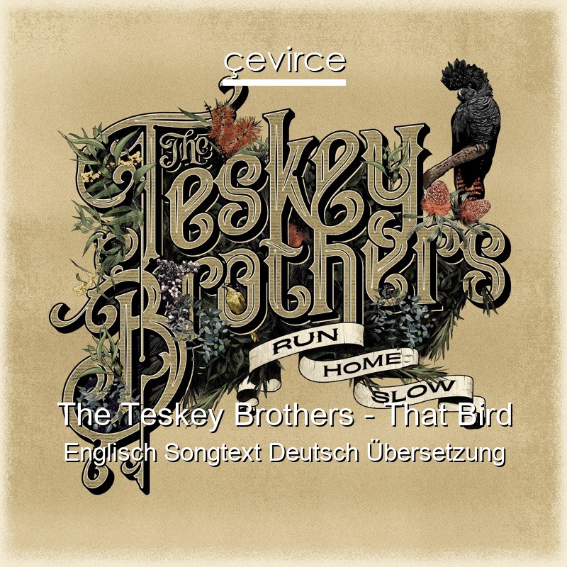 The Teskey Brothers – That Bird Englisch Songtext Deutsch Übersetzung