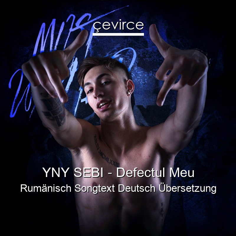 YNY SEBI – Defectul Meu Rumänisch Songtext Deutsch Übersetzung