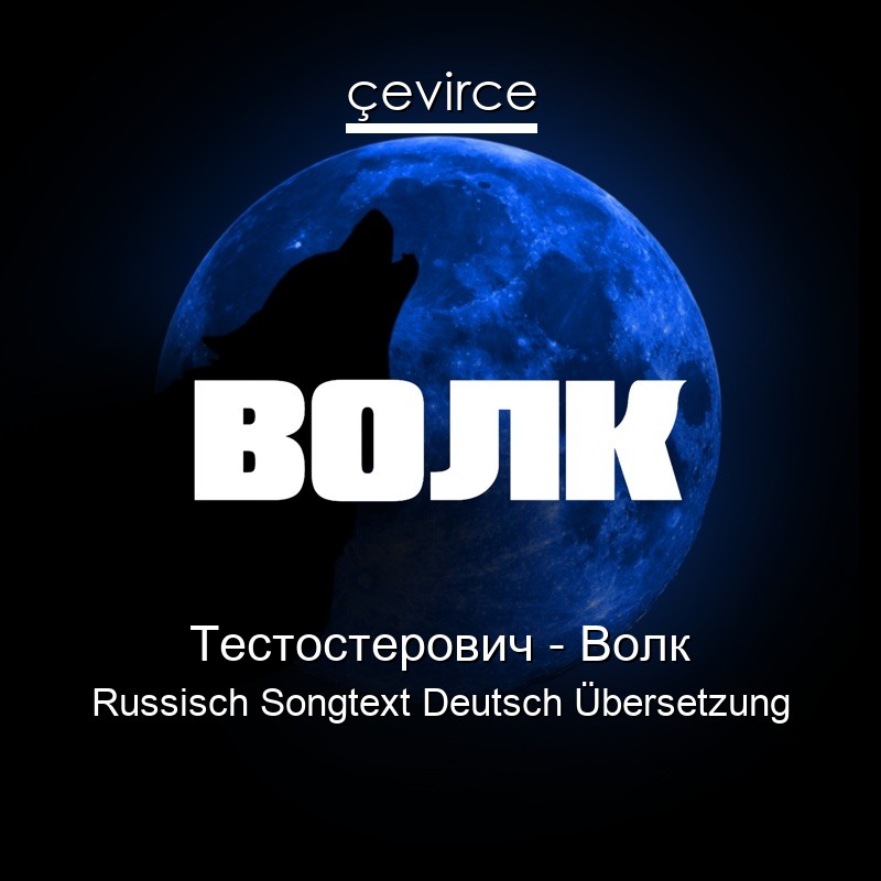Тестостерович – Волк Russisch Songtext Deutsch Übersetzung