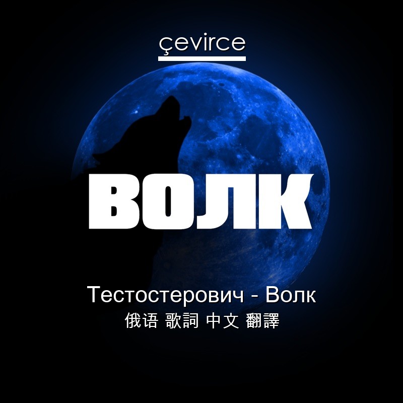 Тестостерович – Волк 俄语 歌詞 中文 翻譯