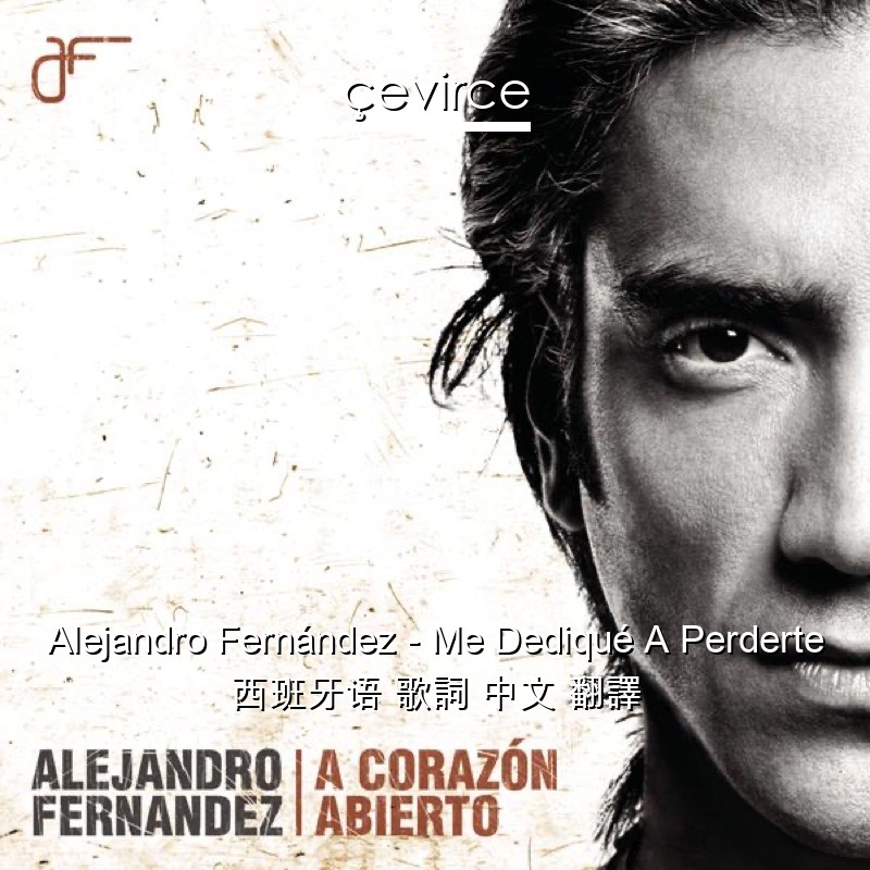 Alejandro Fernández – Me Dediqué A Perderte 西班牙语 歌詞 中文 翻譯