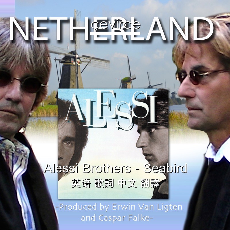 Alessi Brothers – Seabird 英语 歌詞 中文 翻譯
