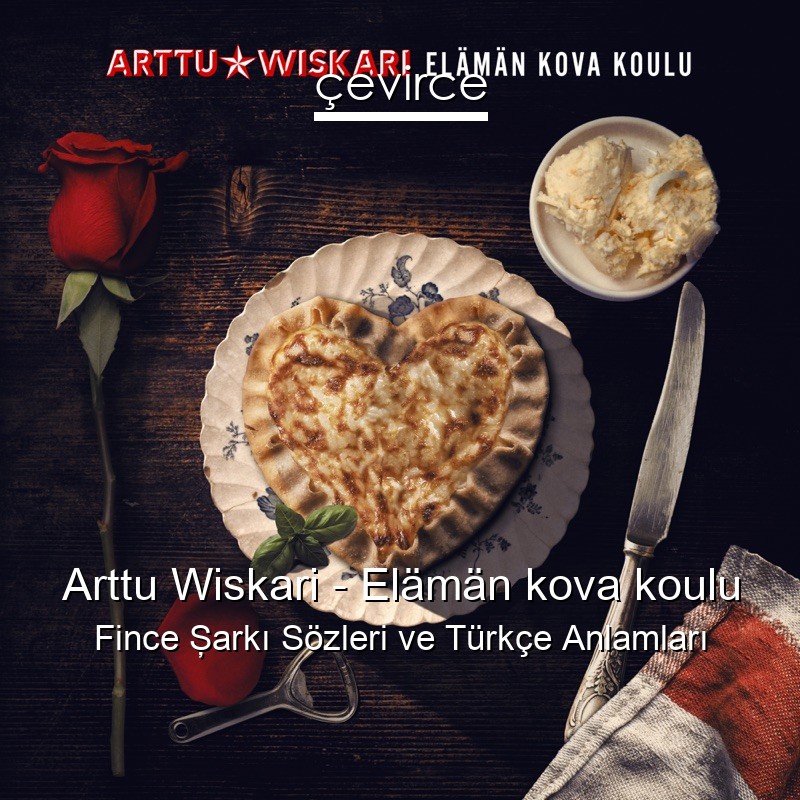 Arttu Wiskari – Elämän kova koulu Fince Şarkı Sözleri Türkçe Anlamları