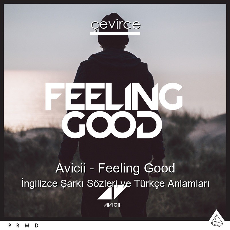 Avicii – Feeling Good İngilizce Şarkı Sözleri Türkçe Anlamları