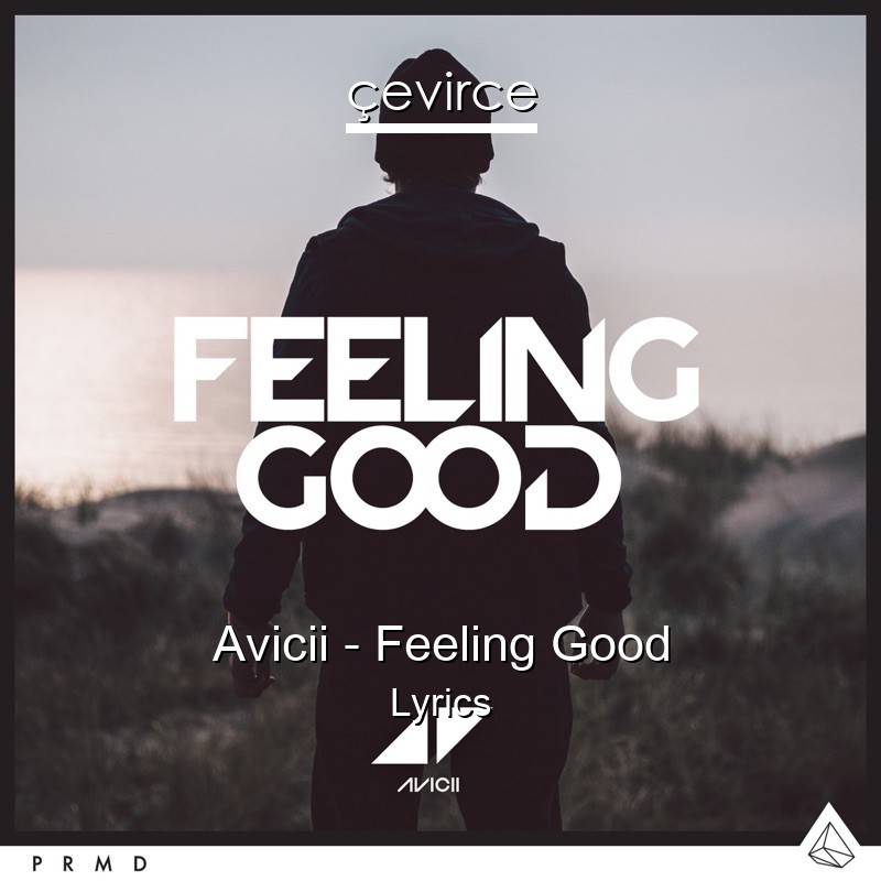 Avicii – Feeling Good Lyrics