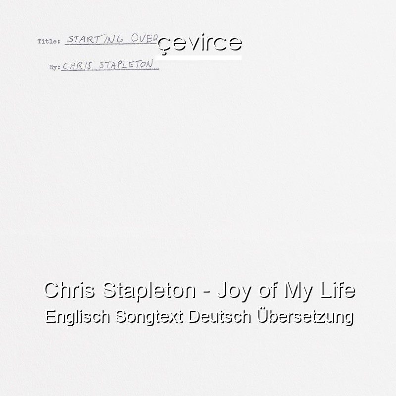 Chris Stapleton – Joy of My Life Englisch Songtext Deutsch Übersetzung