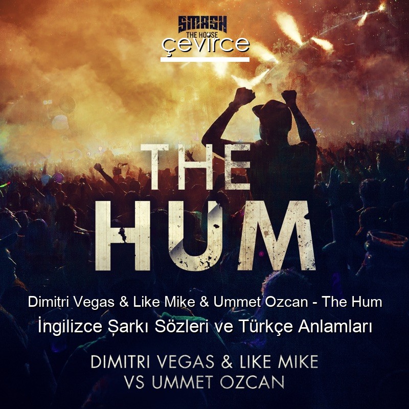 Dimitri Vegas & Like Mike & Ummet Ozcan – The Hum İngilizce Şarkı Sözleri Türkçe Anlamları