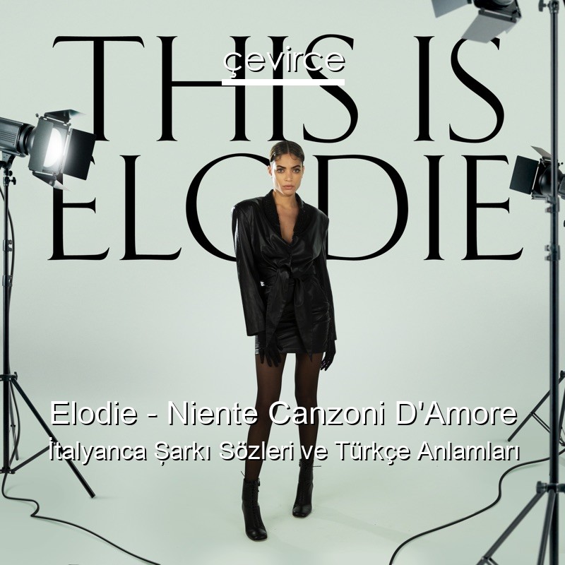 Elodie – Niente Canzoni D’Amore İtalyanca Şarkı Sözleri Türkçe Anlamları