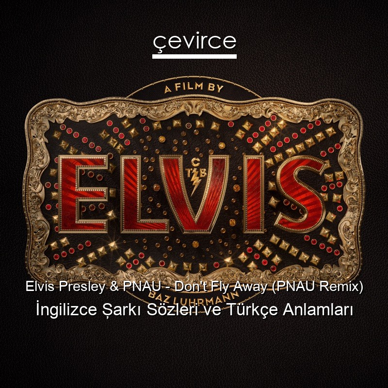 Elvis Presley & PNAU – Don’t Fly Away (PNAU Remix) İngilizce Şarkı Sözleri Türkçe Anlamları
