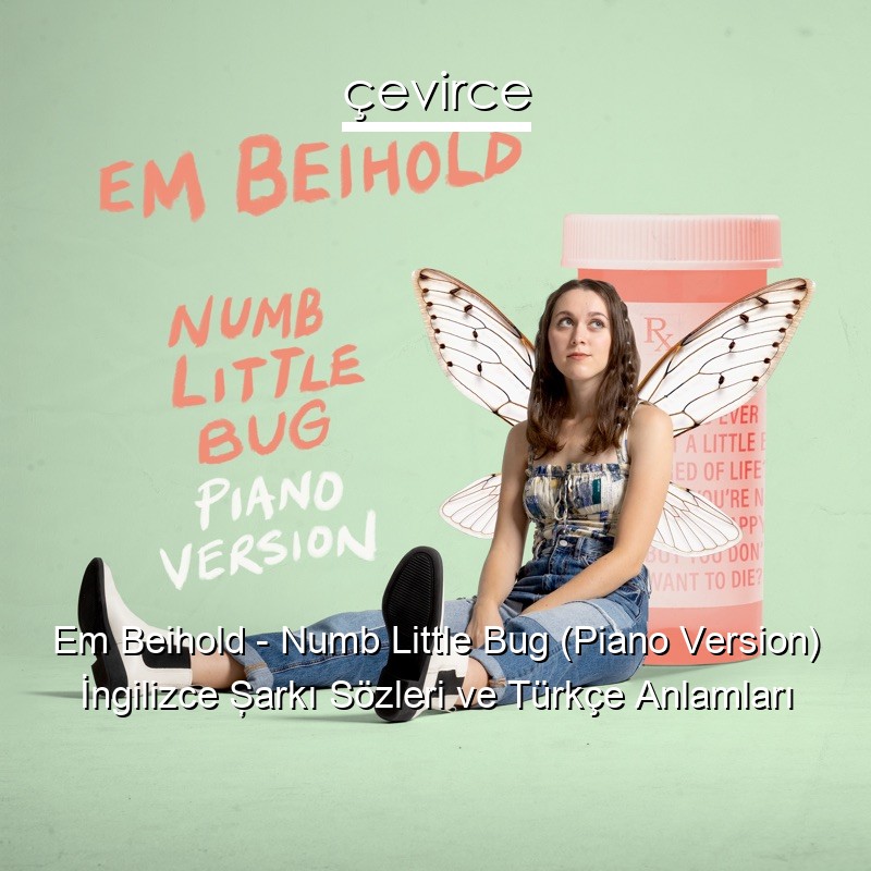 Em Beihold – Numb Little Bug (Piano Version) İngilizce Şarkı Sözleri Türkçe Anlamları