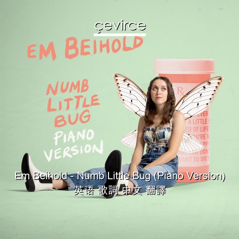 Em Beihold – Numb Little Bug (Piano Version) 英语 歌詞 中文 翻譯