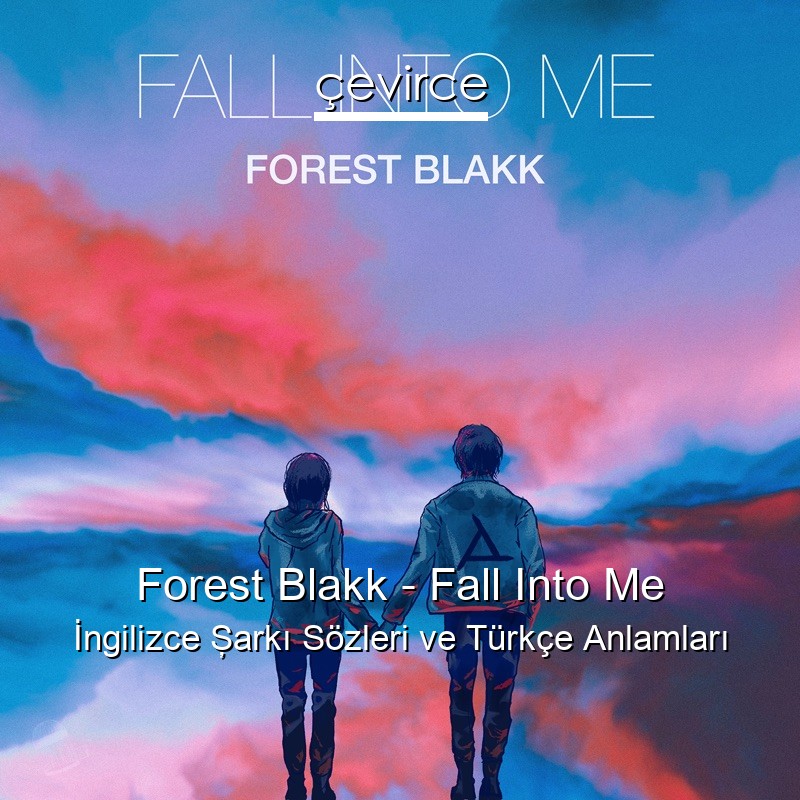 Forest Blakk – Fall Into Me İngilizce Şarkı Sözleri Türkçe Anlamları