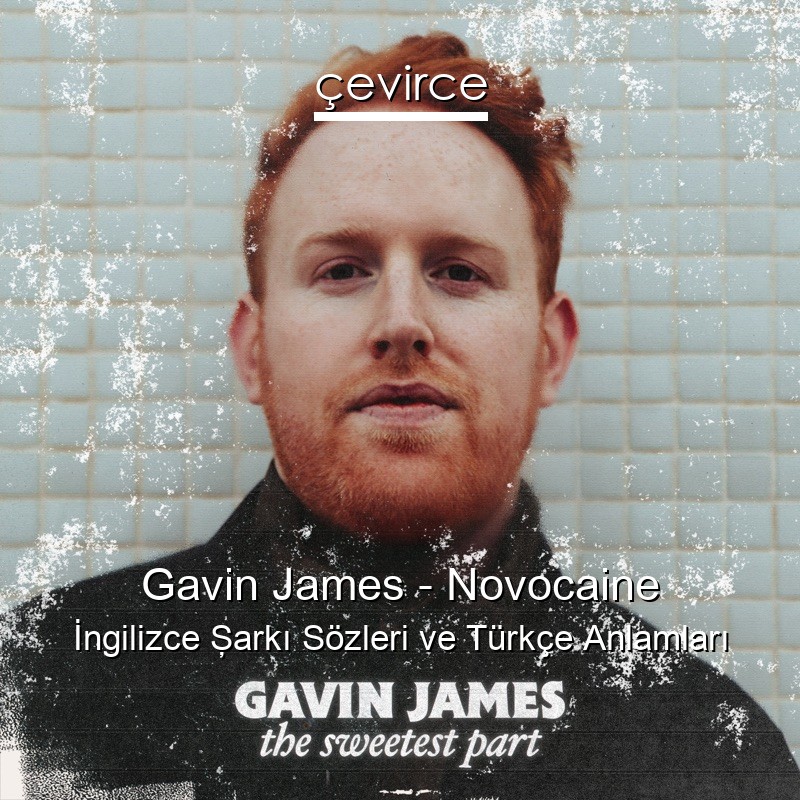 Gavin James – Novocaine İngilizce Şarkı Sözleri Türkçe Anlamları