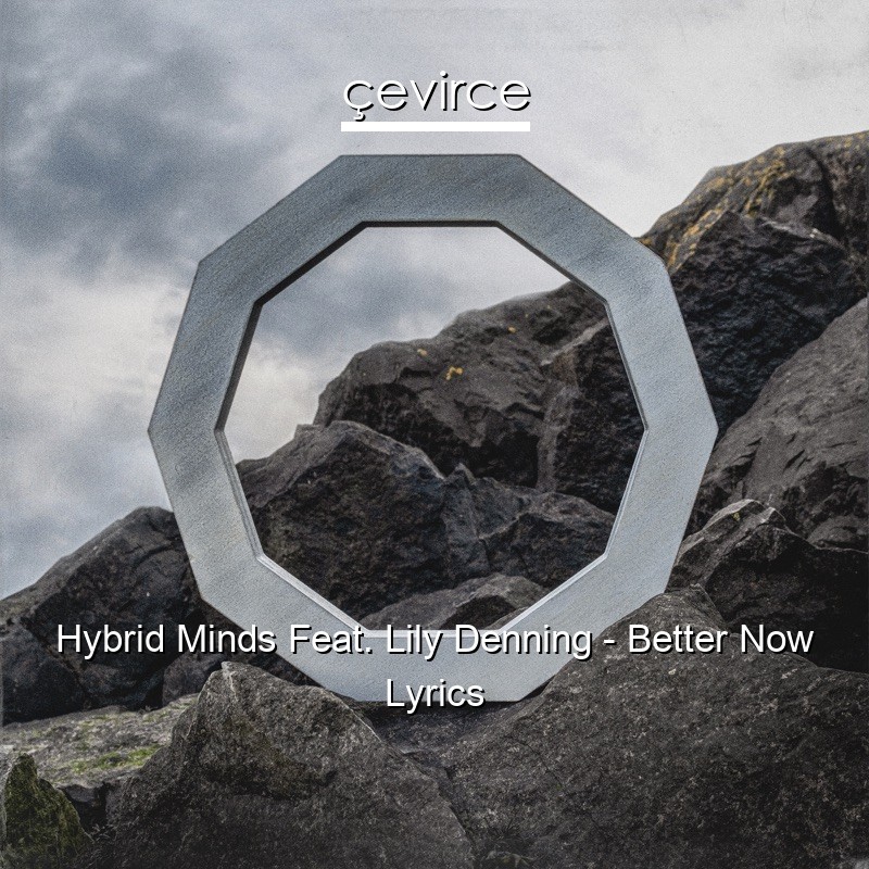 Hybrid Minds Feat. Lily Denning – Better Now Lyrics