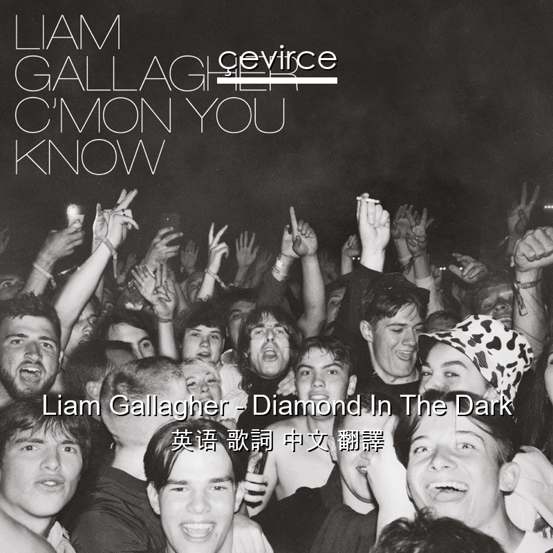 Liam Gallagher – Diamond In The Dark 英语 歌詞 中文 翻譯