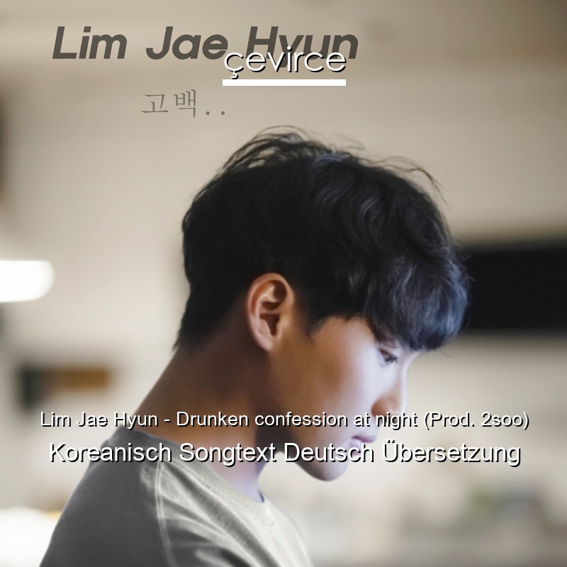 Lim Jae Hyun – Drunken confession at night (Prod. 2soo) Koreanisch Songtext Deutsch Übersetzung
