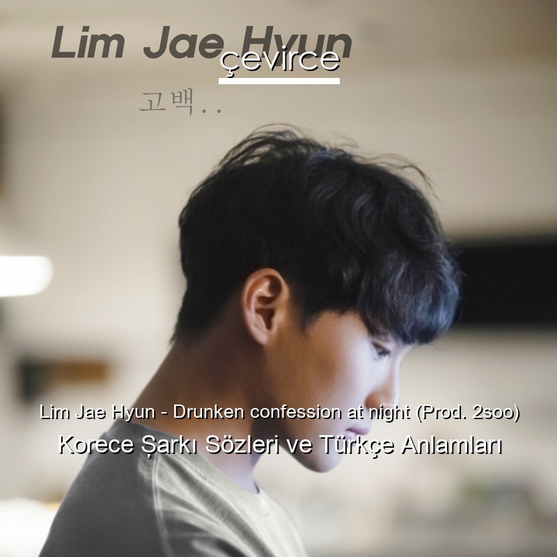 Lim Jae Hyun – Drunken confession at night (Prod. 2soo) Korece Şarkı Sözleri Türkçe Anlamları