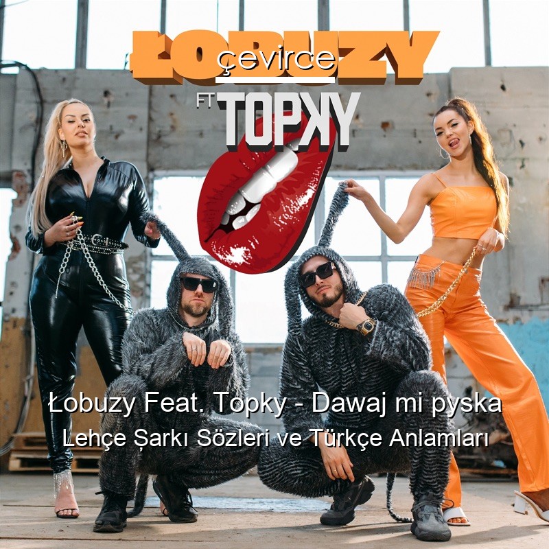 Łobuzy Feat. Topky – Dawaj mi pyska Lehçe Şarkı Sözleri Türkçe Anlamları