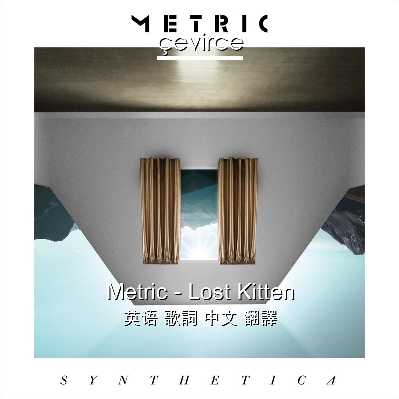 Metric – Lost Kitten 英语 歌詞 中文 翻譯